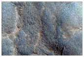 Seasonal Activity in Northern Hemisphere Gullies