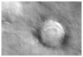 Crater and Terrain in Diacria Region