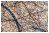 Dark Filamentary Streak in Monitoring Site in Promethei Region