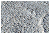 Candidate New Impact Site Formed between November 2004 and February 2010