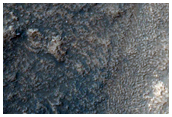 Gullied Impact Crater on Hellas Planitia Floor