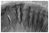 Gullies with Varied Shapes on a Crater Wall