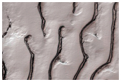 Thumbprint Terrian in South Polar Residual Cap