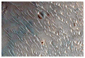 South Margaritifer Terra