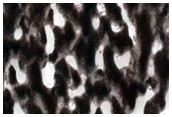 South Polar Residual Cap