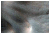 USGS Dune Database Entry Number 2376-633