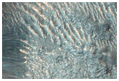 Gully Aprons in Pit in Niger Vallis