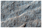 Seasonal Monitoring Candidate