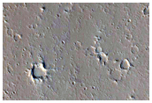 Channel within Sulci Gordii