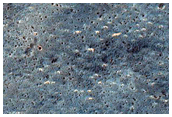 Possible Phyllosilicate-Rich Terrain on Aureum-Iani-Margaritifer Plains