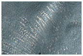 Lobate Feature in Hellas Planitia