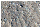Aeolian Scour Features in Olympus Mons Aureole