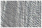 Brain Terrain between Two Mounds East of Moreux Crater