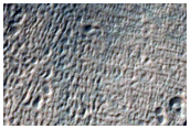 Gullies with Debris Aprons