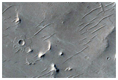 Sampling Plains and Possible Wrinkle Ridges in Southern Schiaparelli Crater