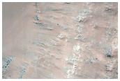 Gullies in Small Crater in Terra Cimmeria
