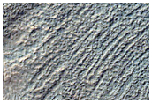 Slope Features in Newton Crater