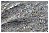 Gullied Crater Wall in Southeastern Terra Cimmeria