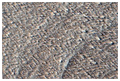 Candidate New Impact Site Formed between November 2004 and August 2010