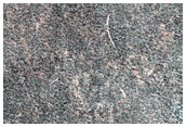 Northern Plains Seasonal Frost on Patterned Ground