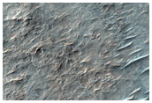 Light-Toned Material and Ridges Northwest of Argyre Planitia