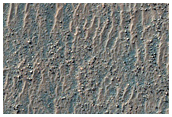 Field of Transverse Aeolian Ridges in Proctor Crater