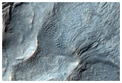 Ridges and Cracks on Crater Floor in Hellas Montes
