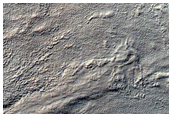 Gullied Crater Wall in Southeastern Terra Cimmeria