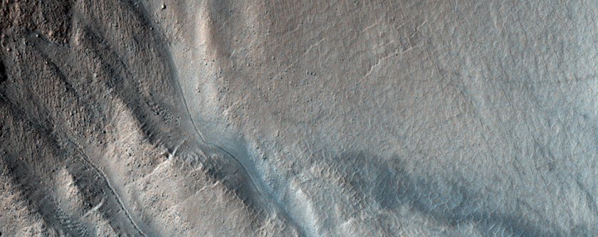 Central Peak Gullies of Lohse Crater
