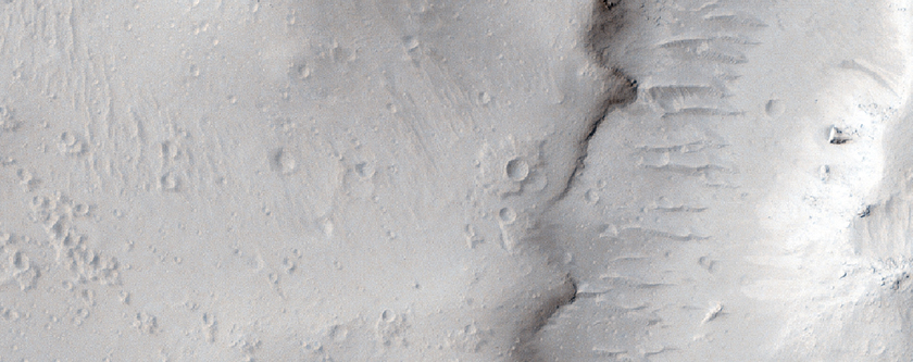 Elysium Planitia Lava Flow Margins