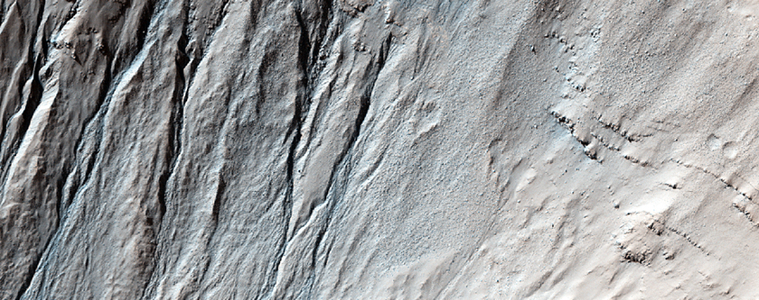 Active Gully