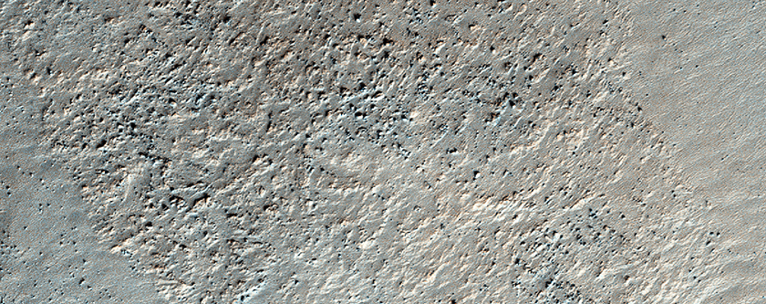 Olivine-Rich Mantled Crater Wall in Terra Sirenum