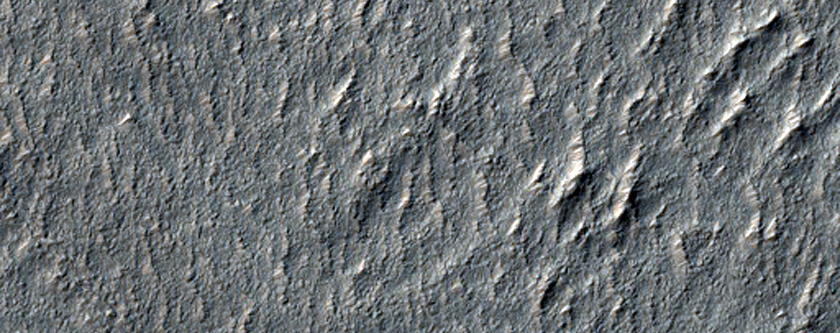 Euripus Mons and Apron Material
