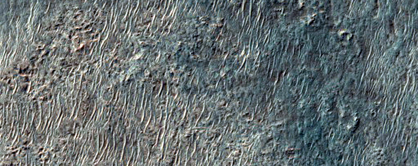 Channels in Newton Crater