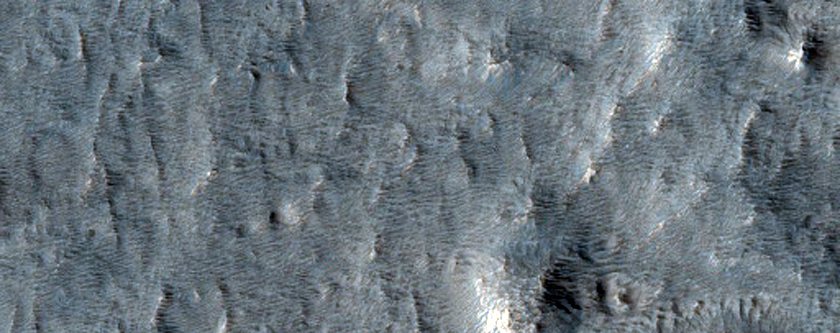 Ridges on Lobate Flow from Hrad Vallis
