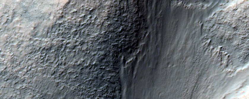 Light-Toned Feature in Gully on North Crater Wall