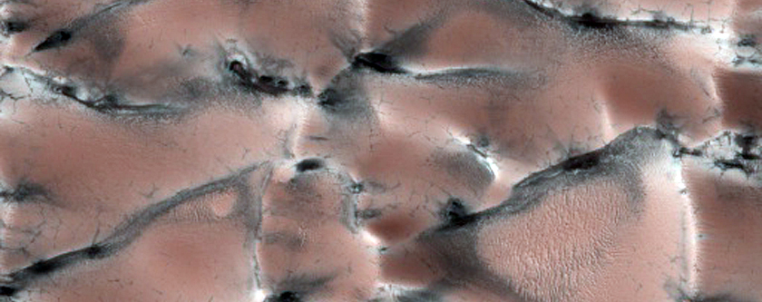 North Polar Gypsum Dunes