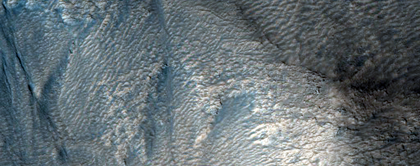 Gullies on the Rim of Lyot Crater