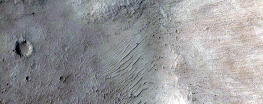 Impact Crater in Amazonis Planitia