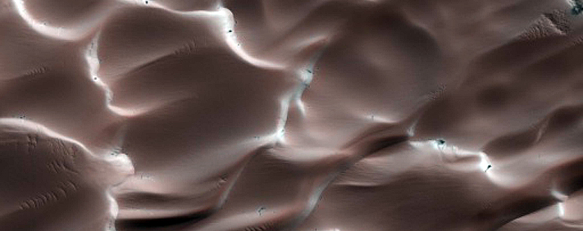 Dune Erosion