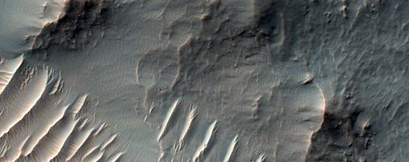 Terra Sirenum Crater Bedforms and Gullies