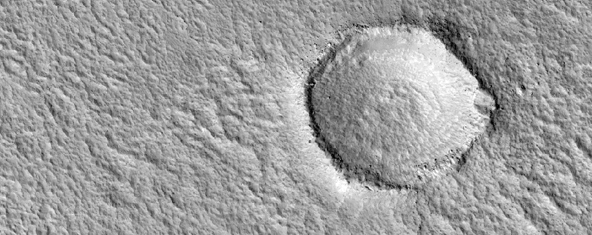 Valleys and Terrain in Tinjar Valles Region