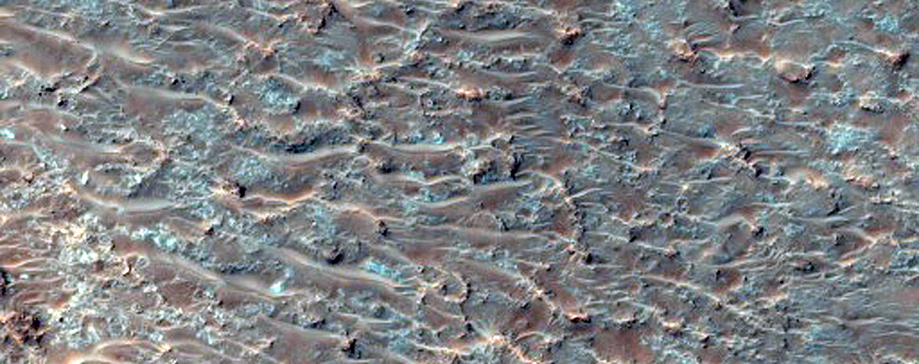 Plains Materials Near Oenotria Scopulus