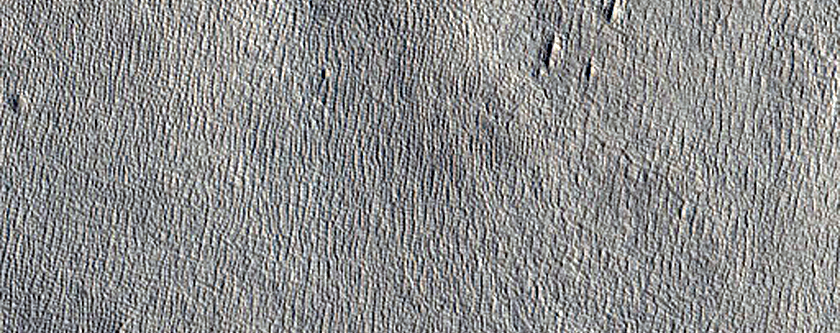 Small Fresh Crater