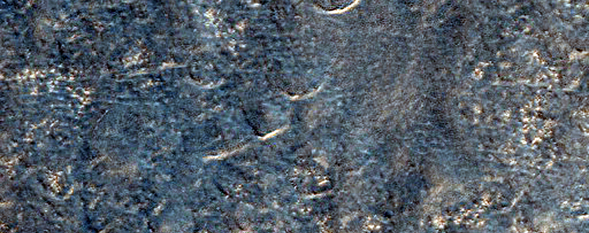 Possible Phyllosilicates