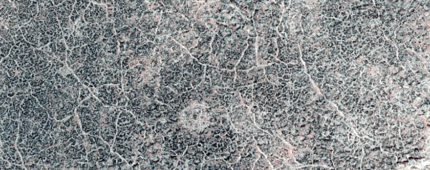 Terrain Sample