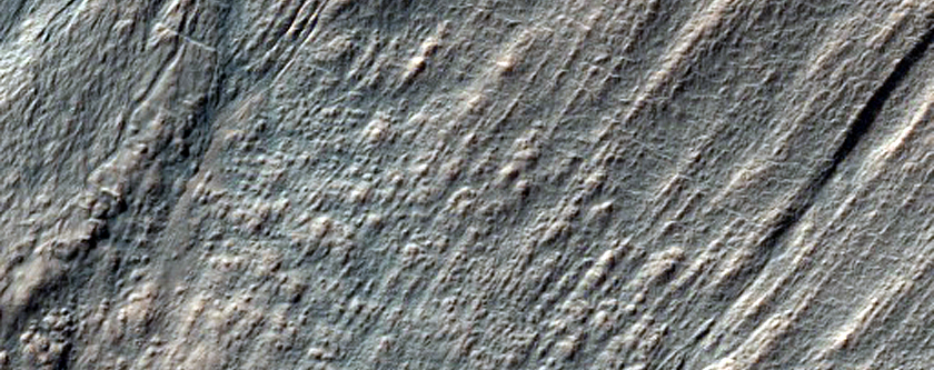 Gully Frost Monitoring