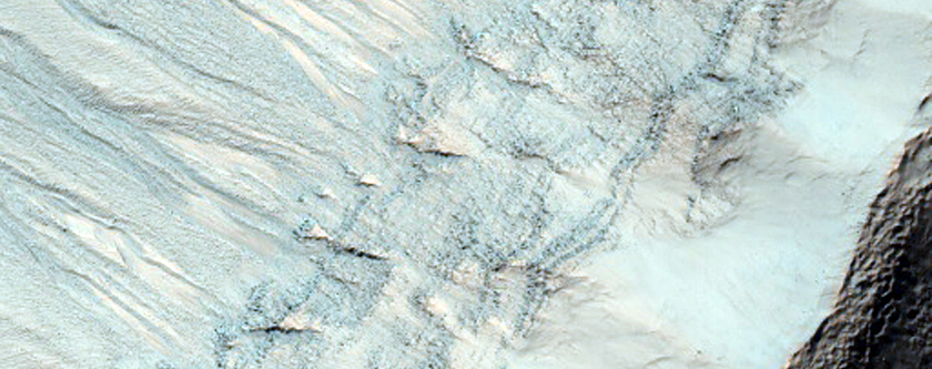 Northwest-Facing Wall of Newton Crater