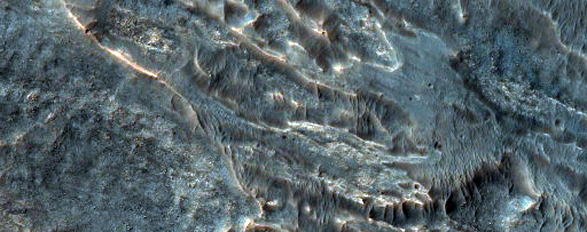 Light-Toned Layered Deposits along Melas Chasma Floor