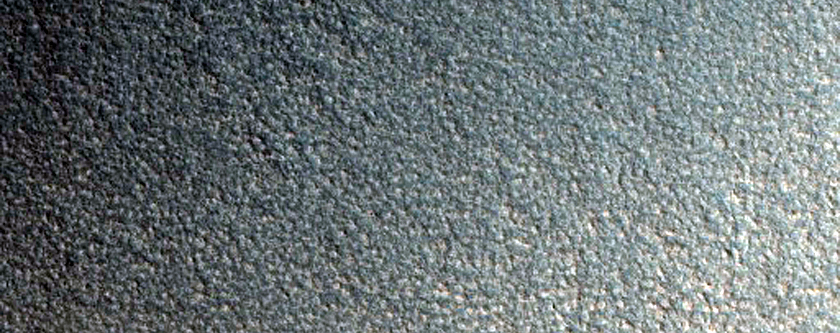 Gully Monitoring